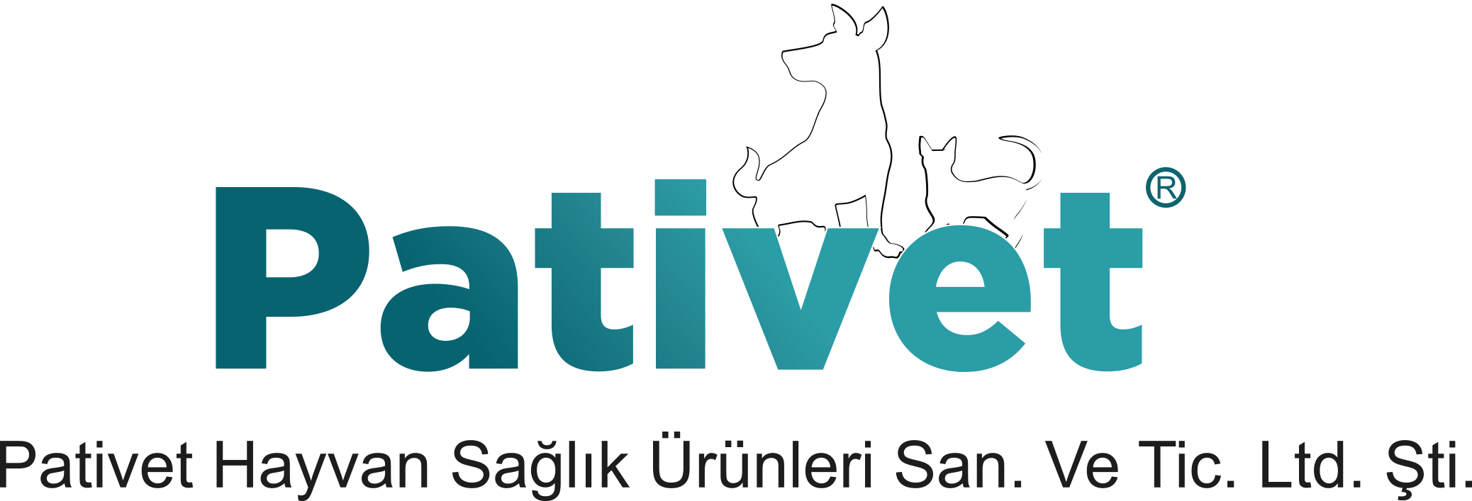 Sponsor 12